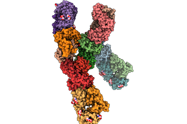 9D95 image