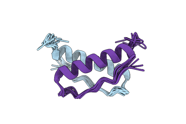 9D9A image