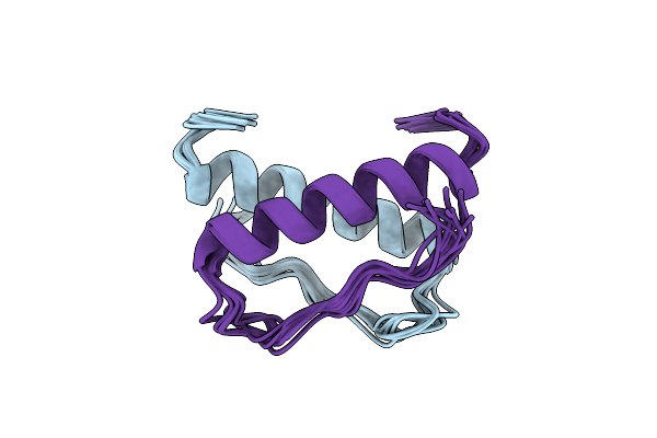 9D9B image