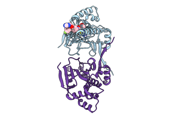 9D9D image