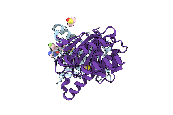 9D9E image