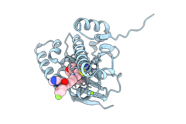 9D9G image