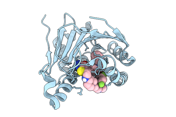 9D9H image