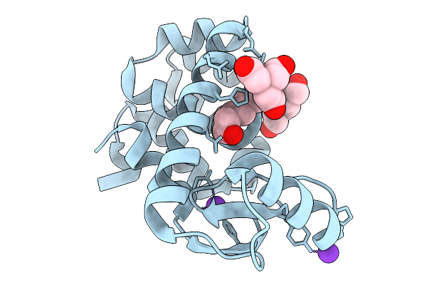 9D9J image