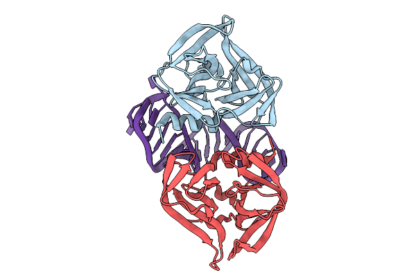 9D9O image