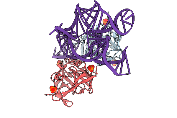 9D9P image
