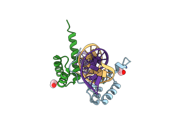 9D9R image