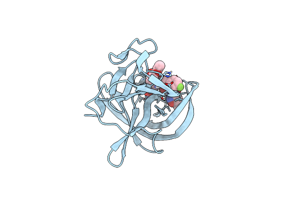 9D9T image