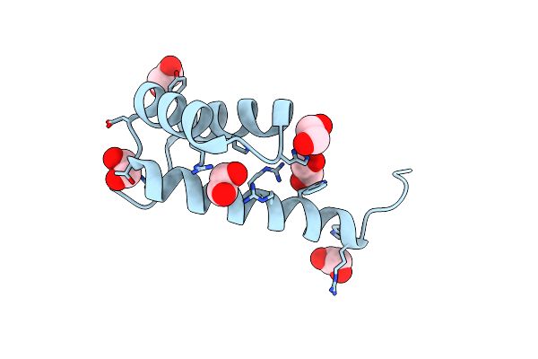 9D9V image