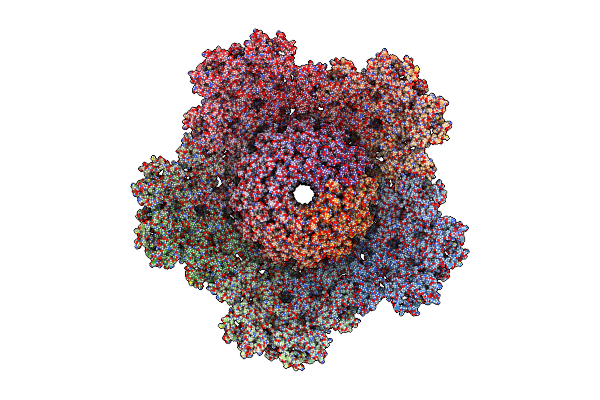 9D9W image