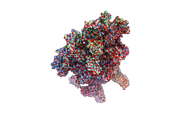 9D9X image
