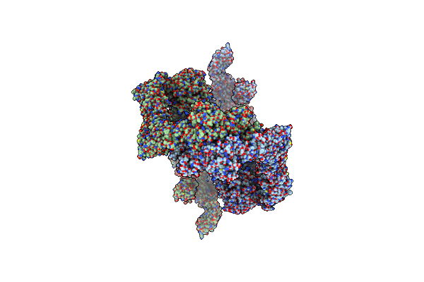 9D9Z image