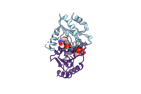 9DA3 image