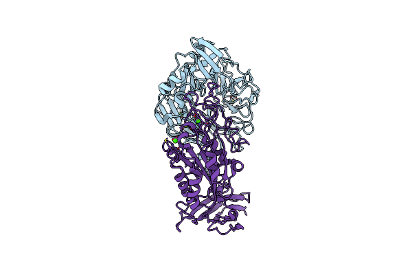 9DAX image