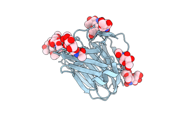 9DB1 image