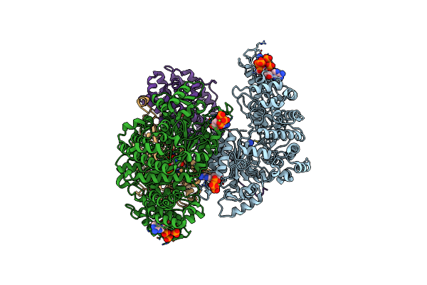 9DB2 image