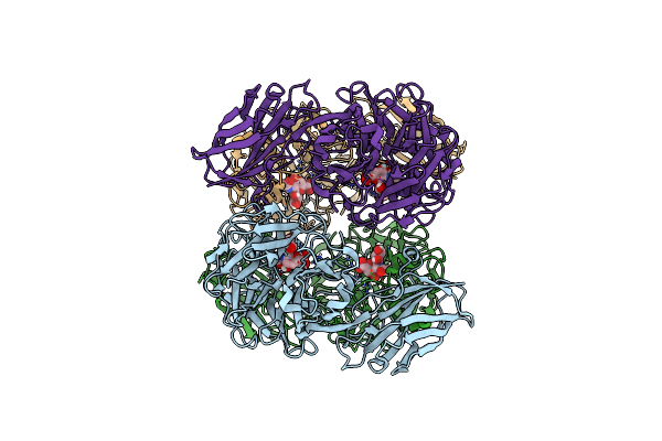 9DB6 image