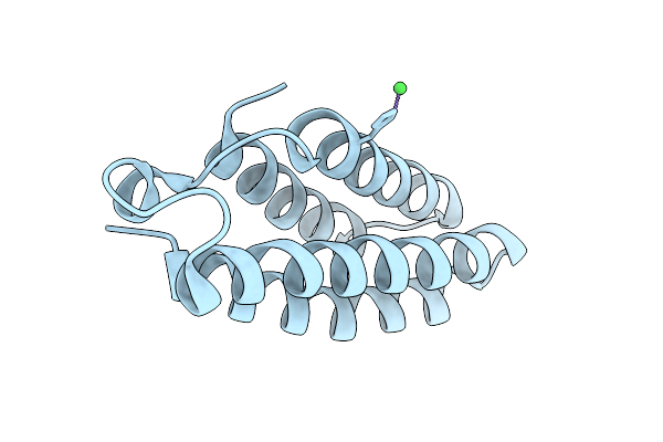 9DB9 image