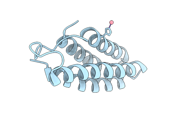 9DBA image