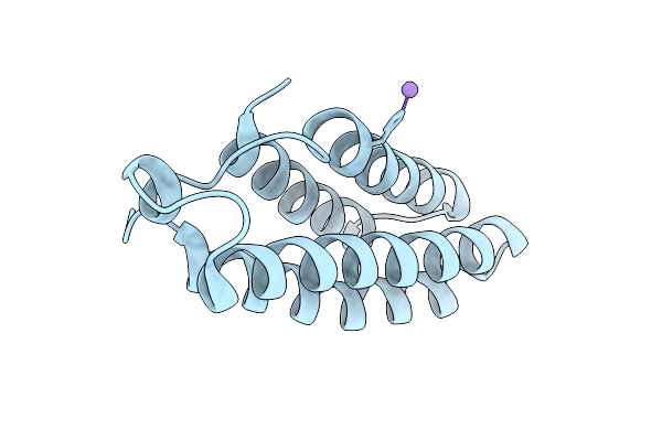 9DBC image