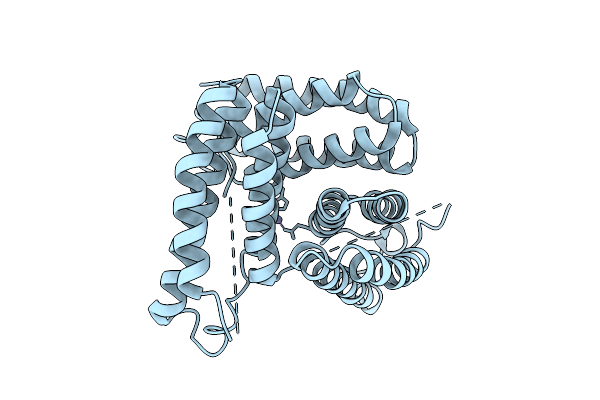 9DBD image