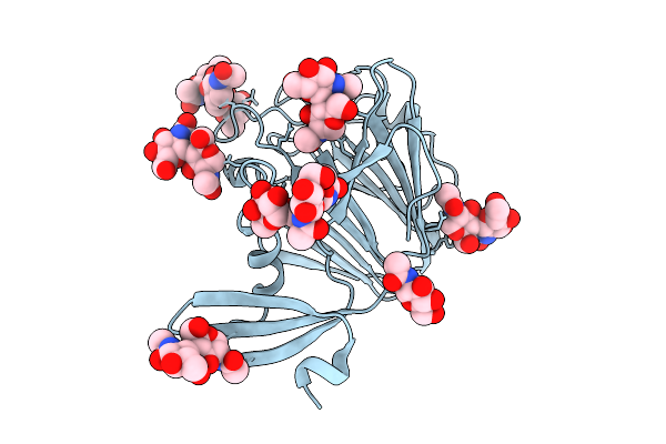 9DBE image
