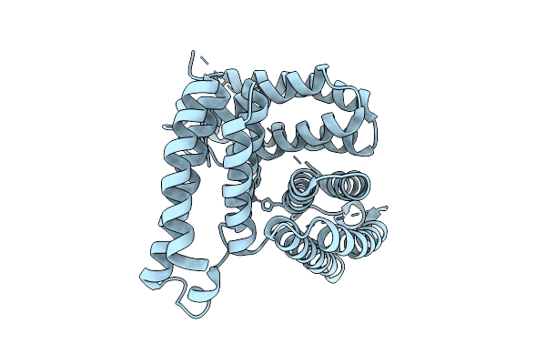 9DBF image