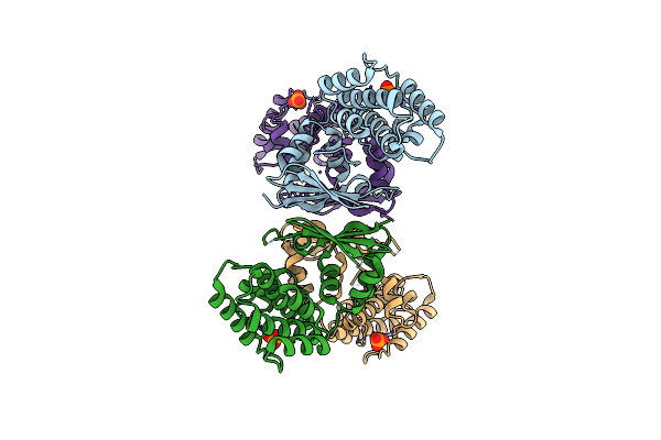 9DBI image