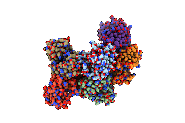 9DBJ image