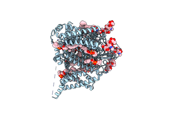 9DBL image