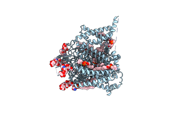 9DBM image