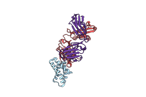 9DBO image