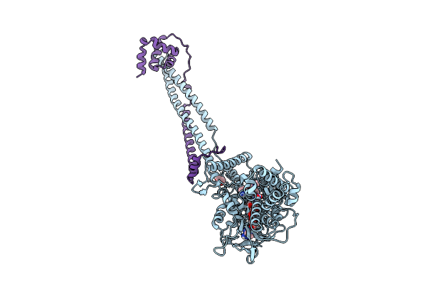 9DBP image