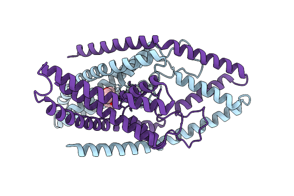 9DBR image