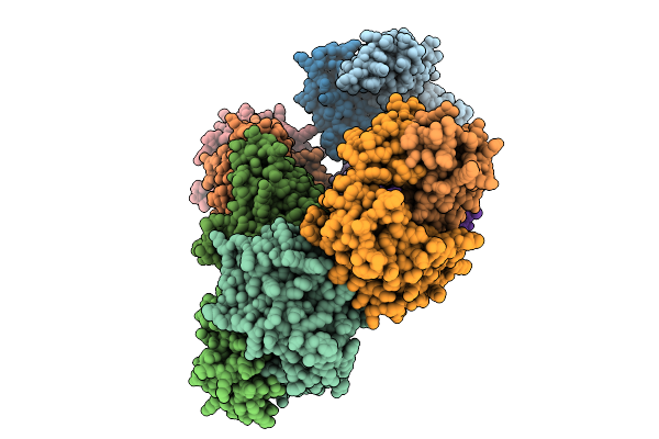 9DBT image