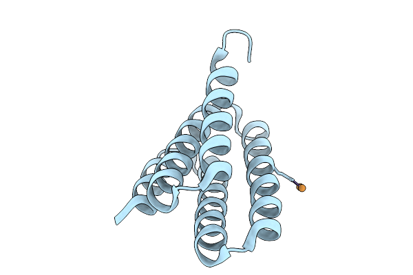 9DBV image