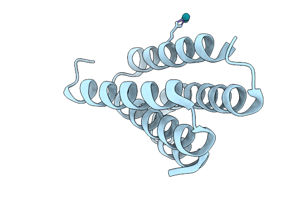 9DBW image