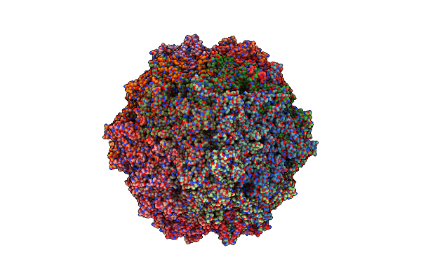 9DCB image