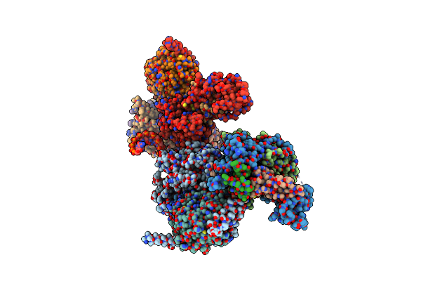 9DCH image