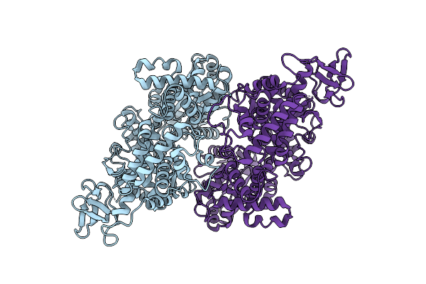 9DCI image