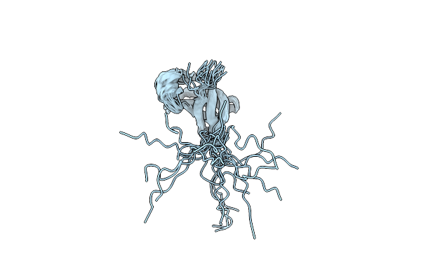 9DCN image