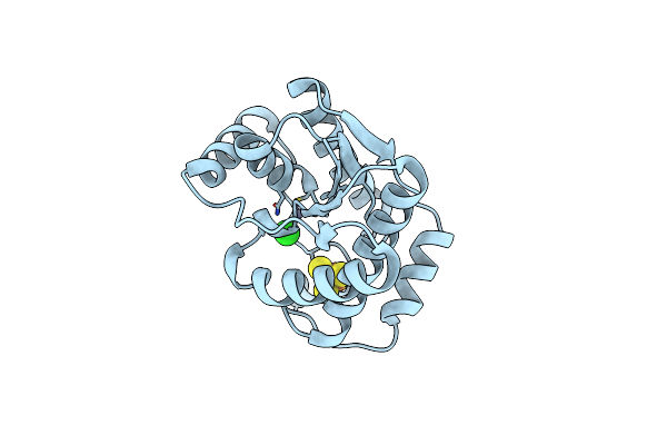 9DCO image