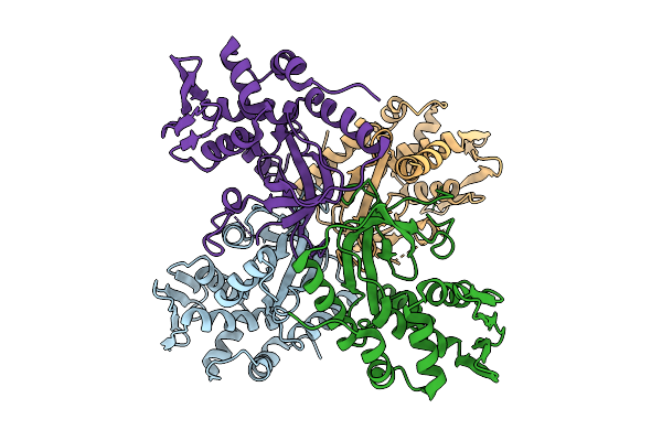 9DCT image
