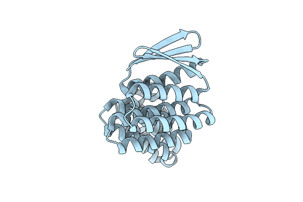 9DCX image