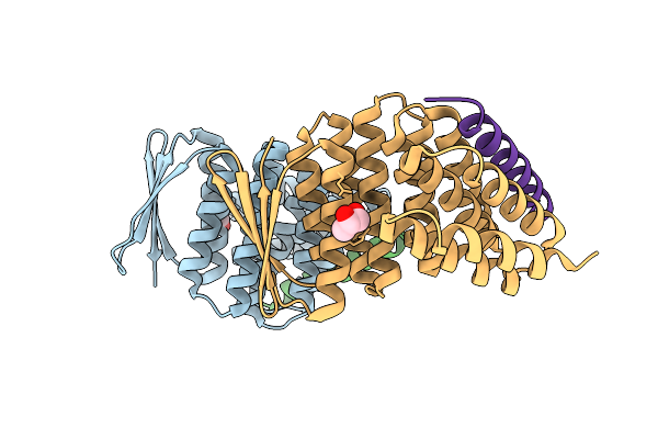 9DCY image