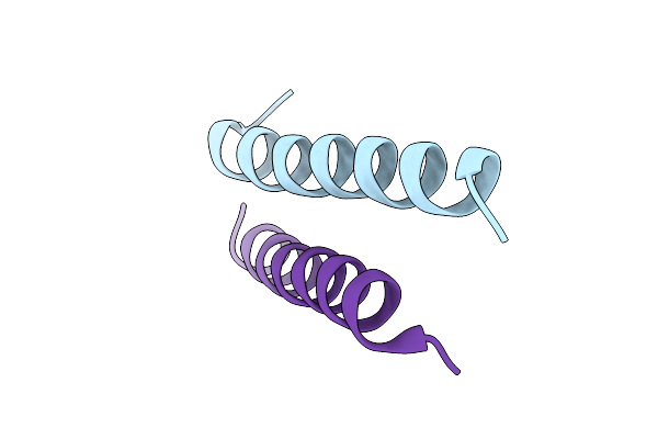 9DD5 image