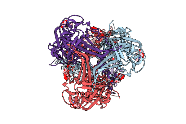 9DDC image