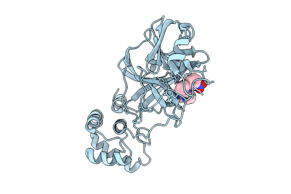 9DDG image