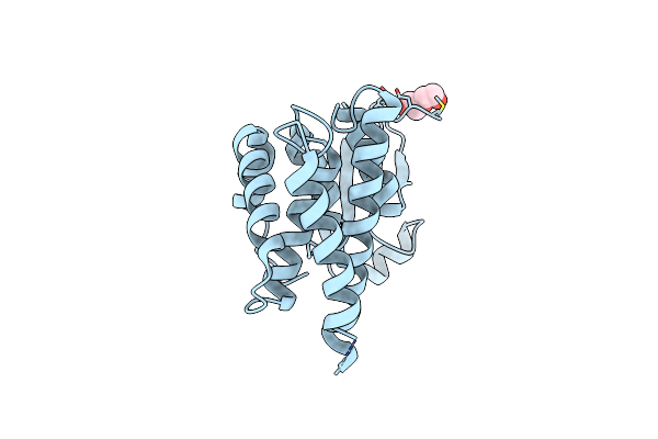 9DDL image