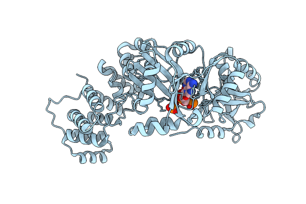 9DFA image
